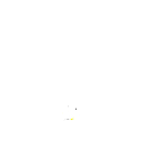 28g